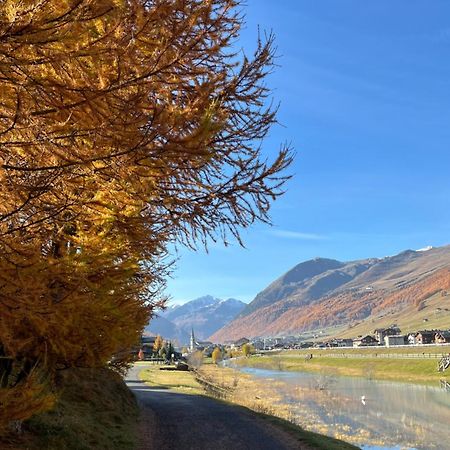Chalet Shany Livigno Kültér fotó