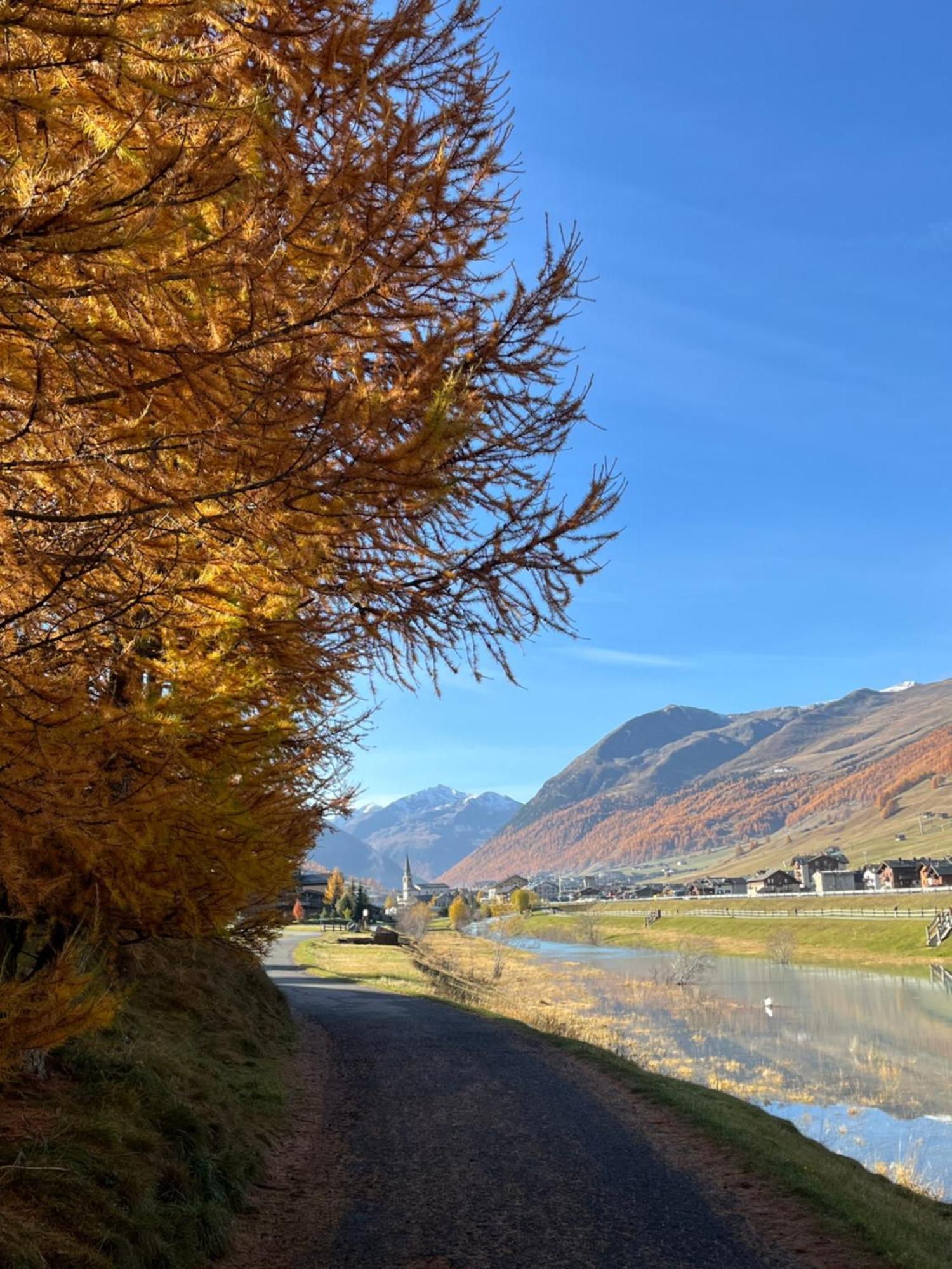 Chalet Shany Livigno Kültér fotó